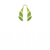 Menú Bruselas