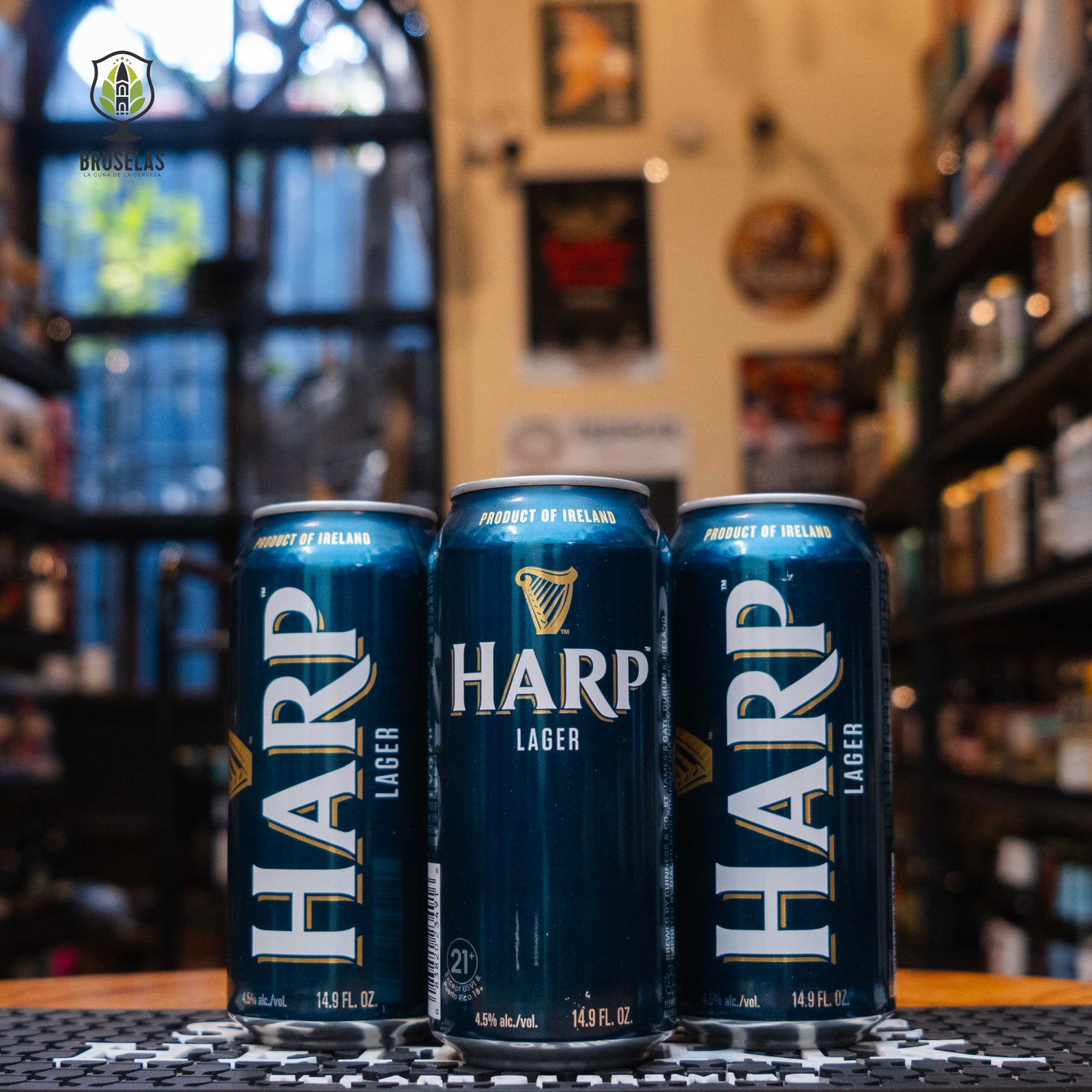 Guinness - Harp Lager