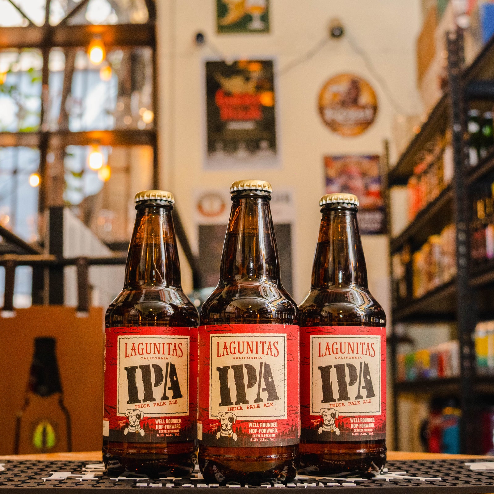 Lagunitas - IPA