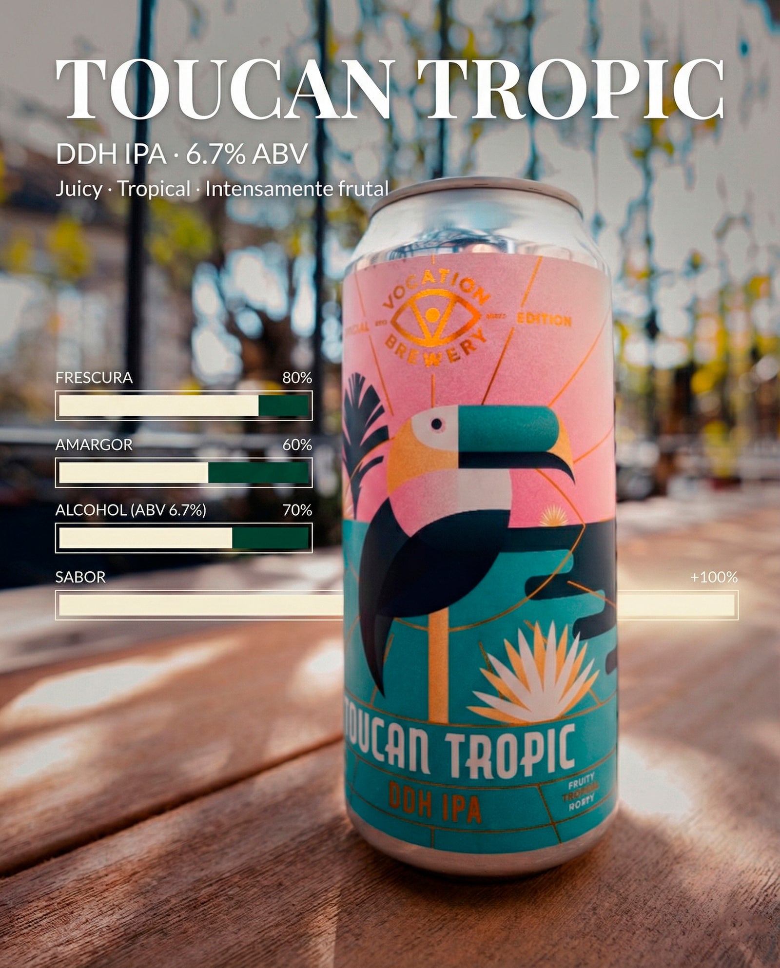 Vocation - Toucan Tropic