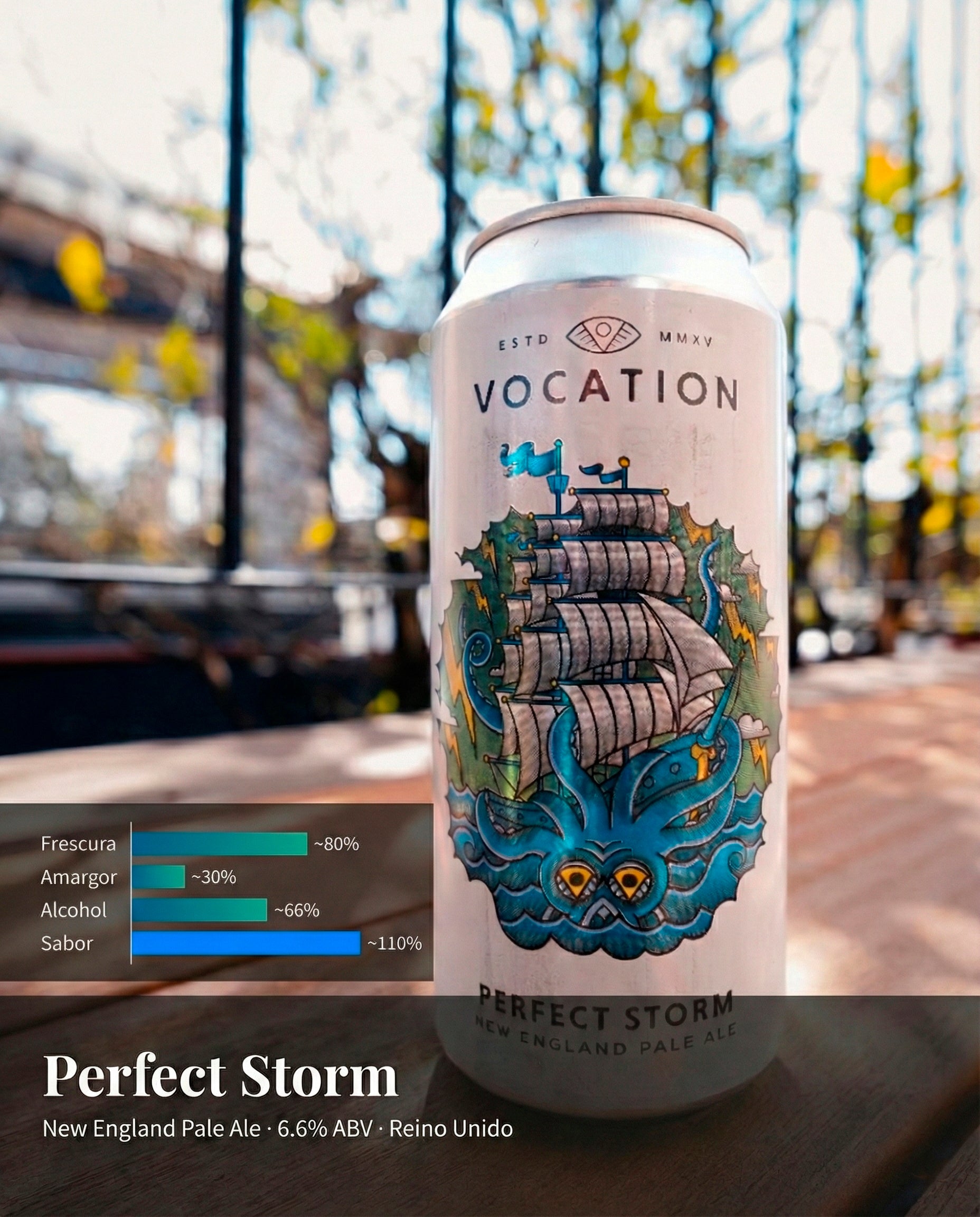 Vocation - Perfect Storm